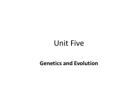 Chapter 5-I.pdf
